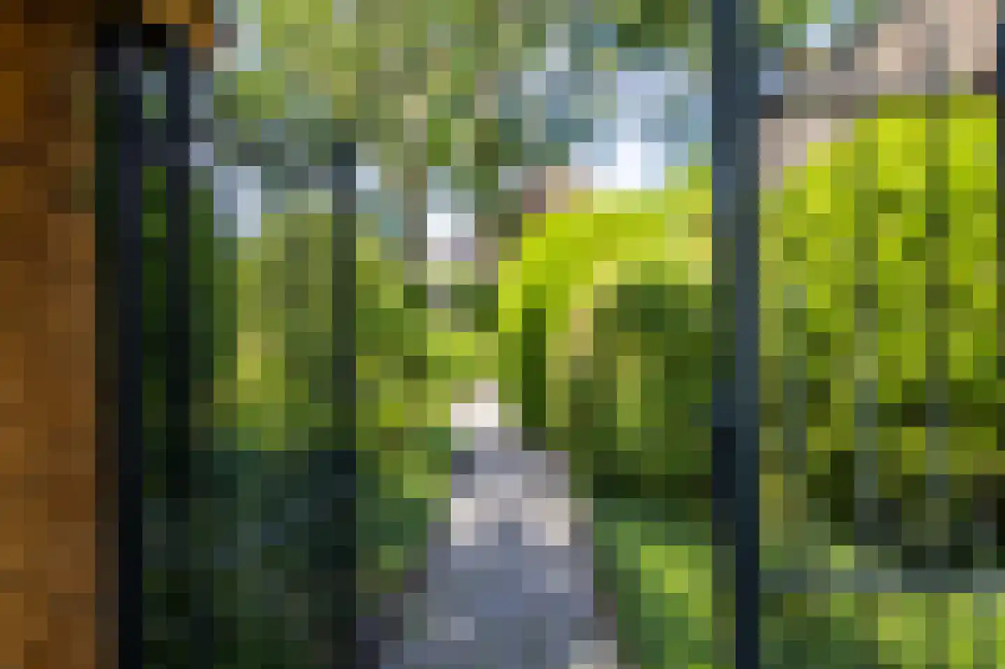 Ibislaan 9 Hoevelaken thumbnail 62