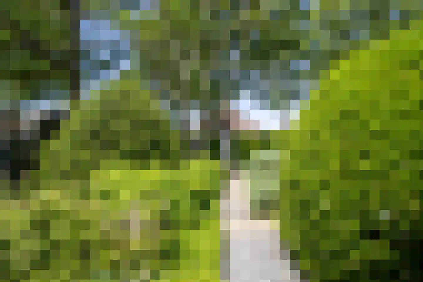 Ibislaan 9 Hoevelaken thumbnail 64