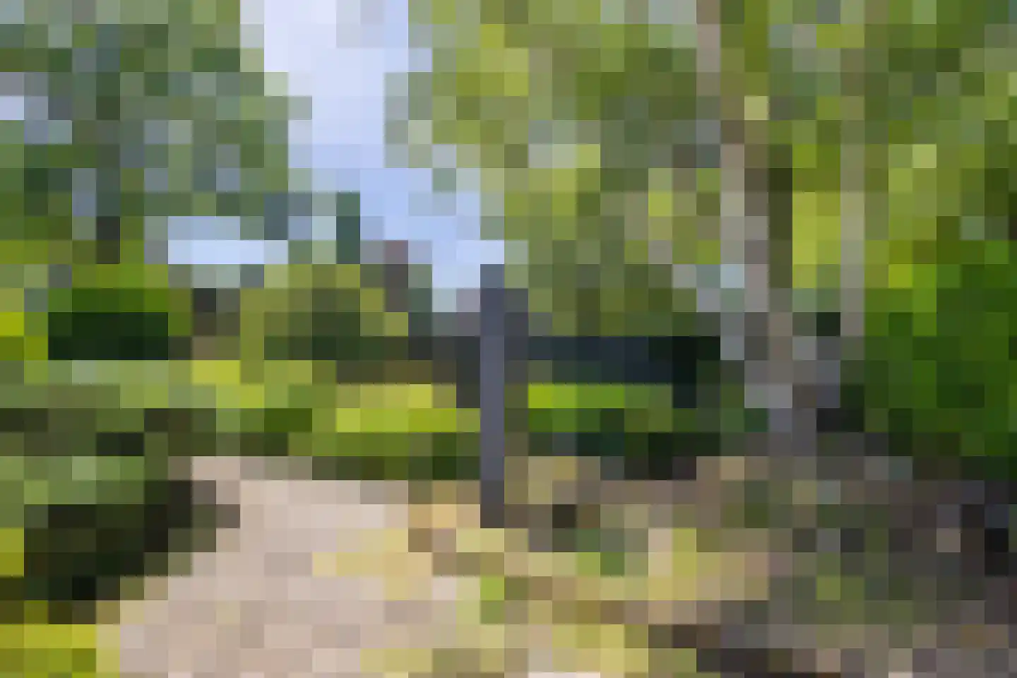 Ibislaan 9 Hoevelaken thumbnail 65
