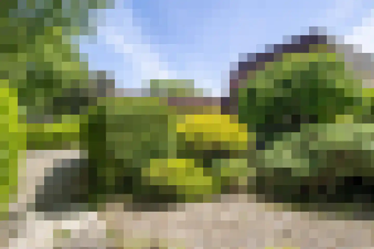 Ibislaan 9 Hoevelaken thumbnail 66