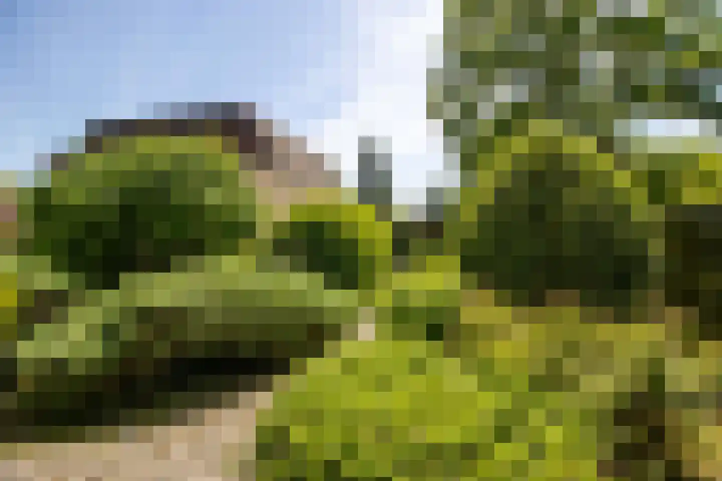 Ibislaan 9 Hoevelaken thumbnail 67
