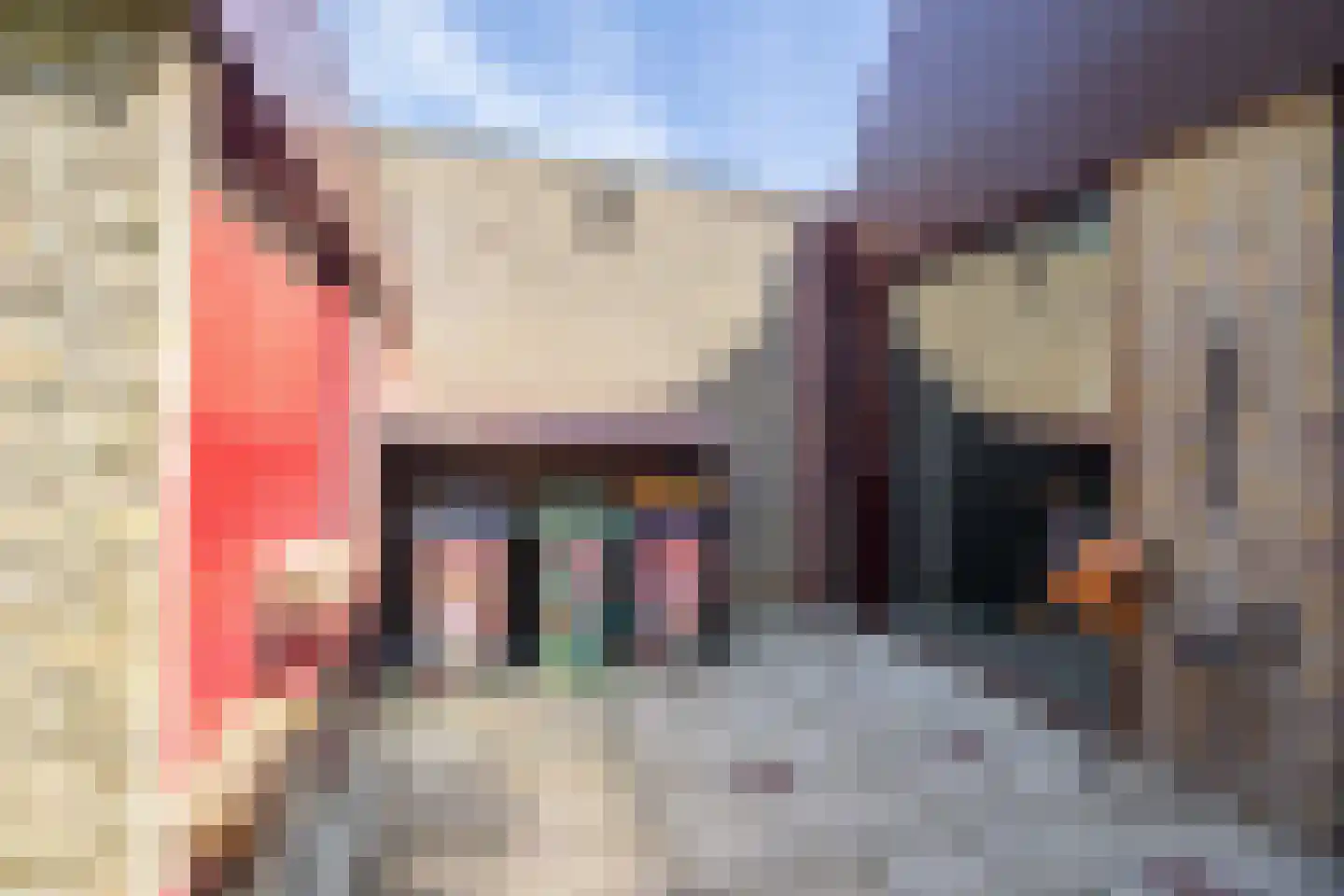 Ibislaan 9 Hoevelaken thumbnail 72