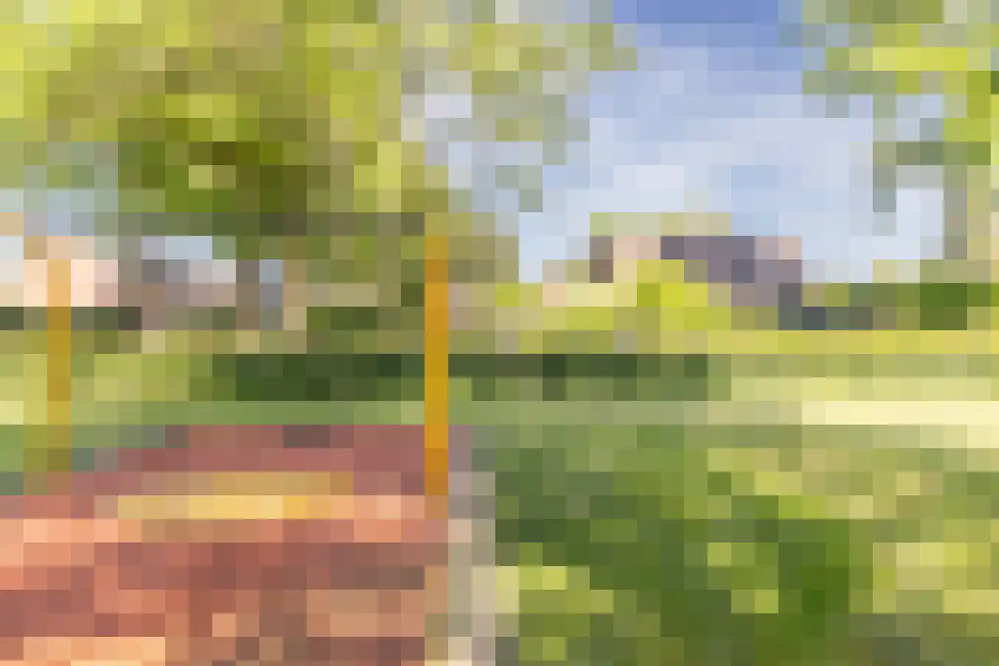 Ibislaan 9 Hoevelaken thumbnail 79