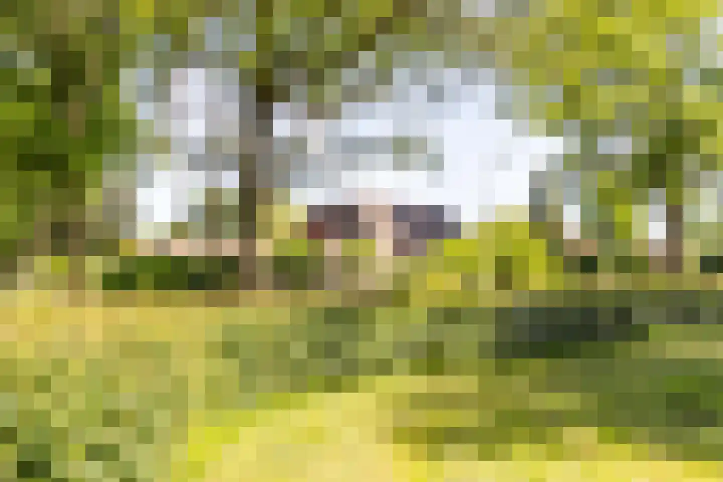 Ibislaan 9 Hoevelaken thumbnail 80