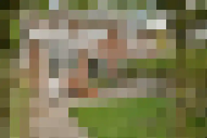 Ibisstraat 17 Badhoevedorp thumbnail 12