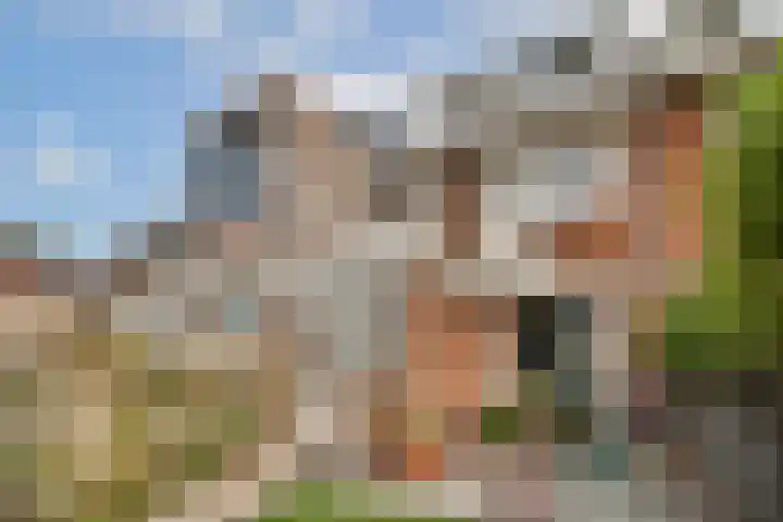 Ibisstraat 17 Badhoevedorp thumbnail 15