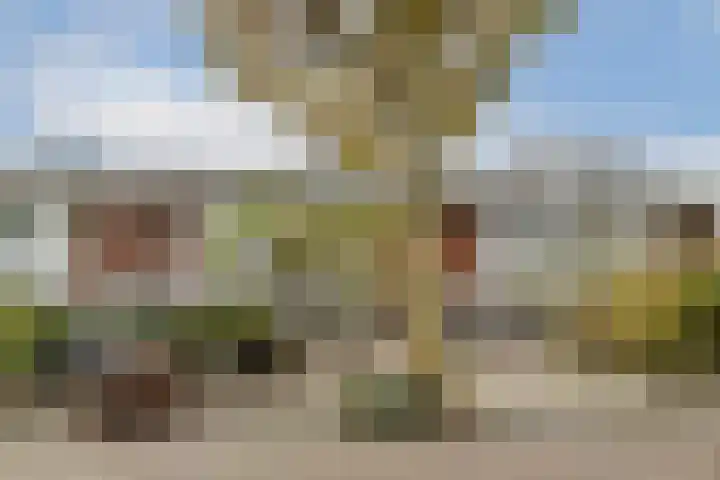 Ibisstraat 17 Badhoevedorp thumbnail 27