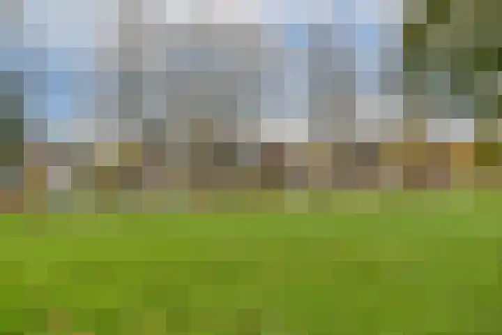 Ibisstraat 17 Badhoevedorp thumbnail 29