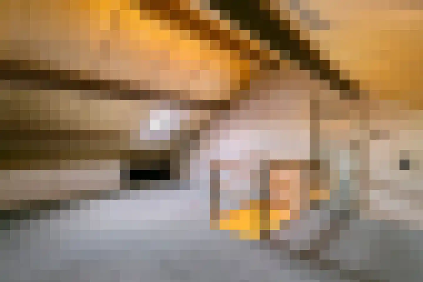 Ibisstraat 19 Maurik thumbnail 29
