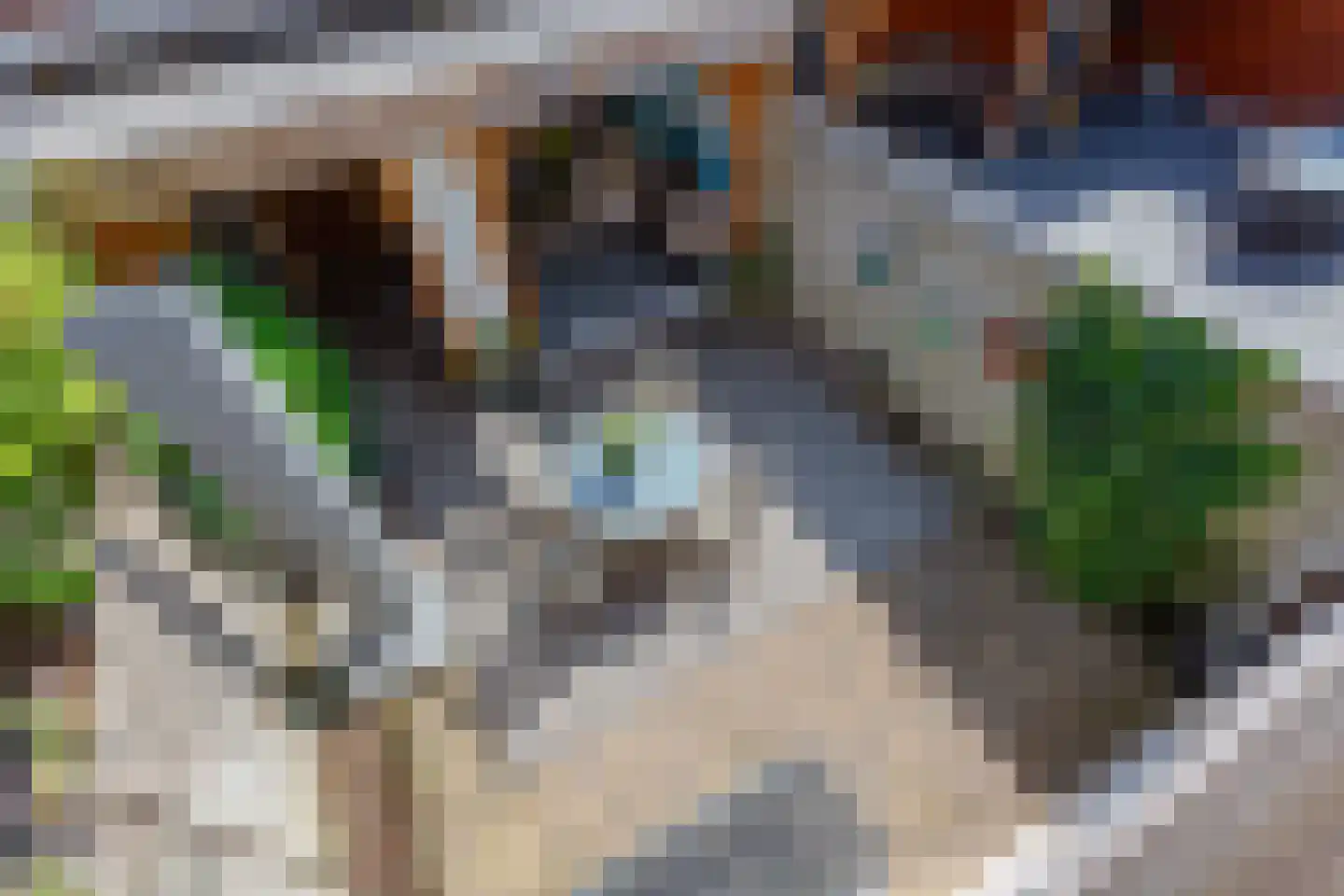 Ibisstraat 24 Badhoevedorp thumbnail 30