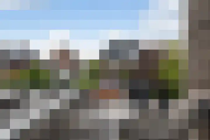 Ibisstraat 33 Leeuwarden thumbnail 33