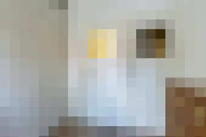 Ibisstraat 33 Leeuwarden thumbnail 35