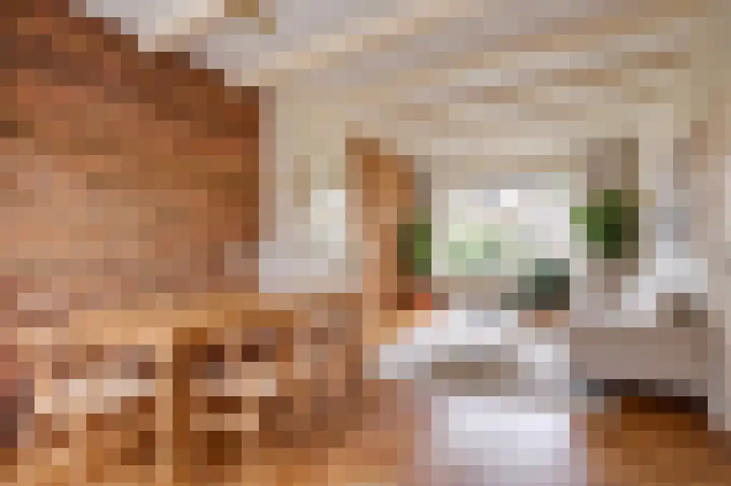 Ibisstraat 42 Badhoevedorp thumbnail 13