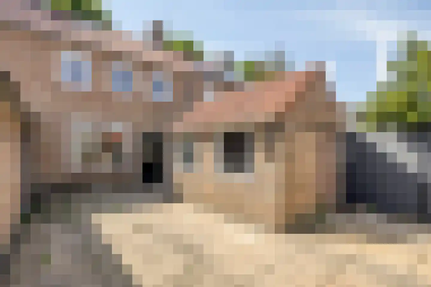 Ibisstraat 42 Badhoevedorp thumbnail 31