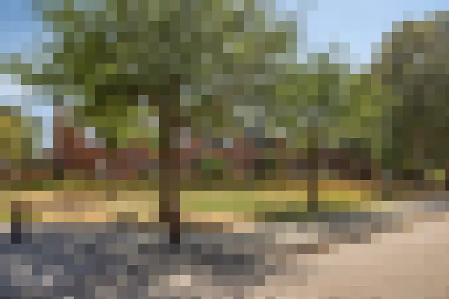 Ibisstraat 42 Badhoevedorp thumbnail 35