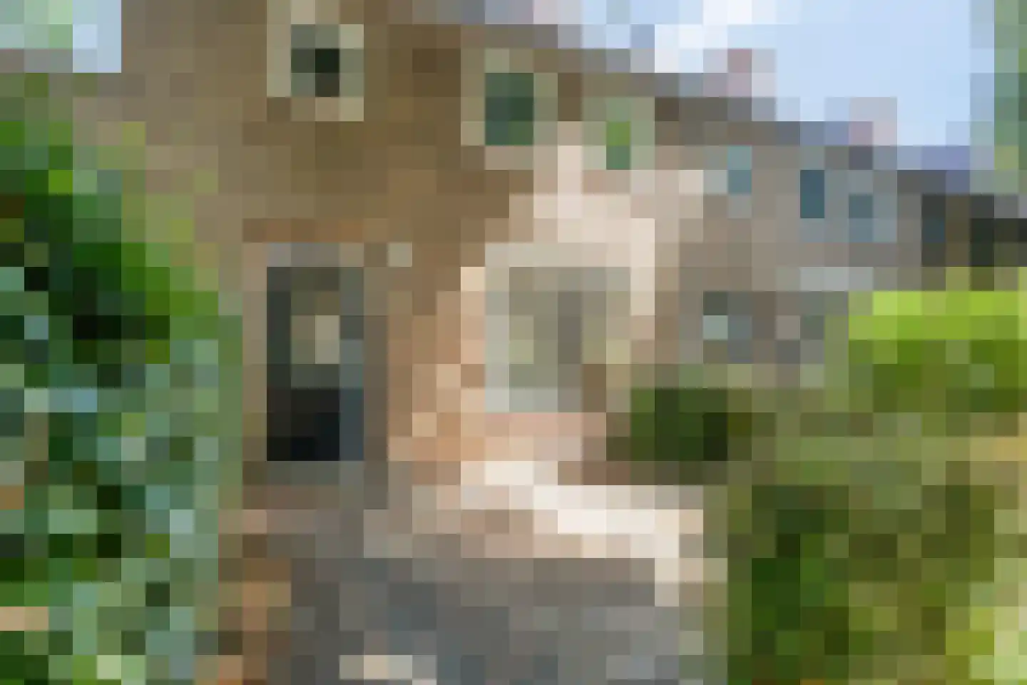 Ibisstraat 42 Badhoevedorp thumbnail 7