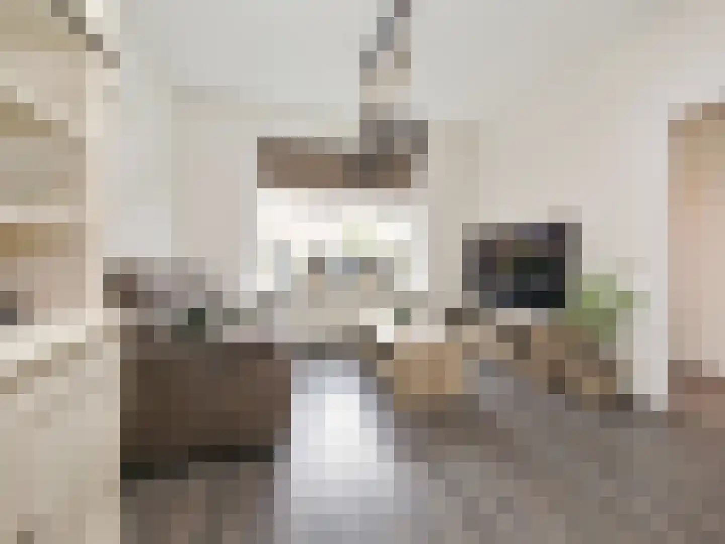 Ibisstraat 48 Badhoevedorp thumbnail 21