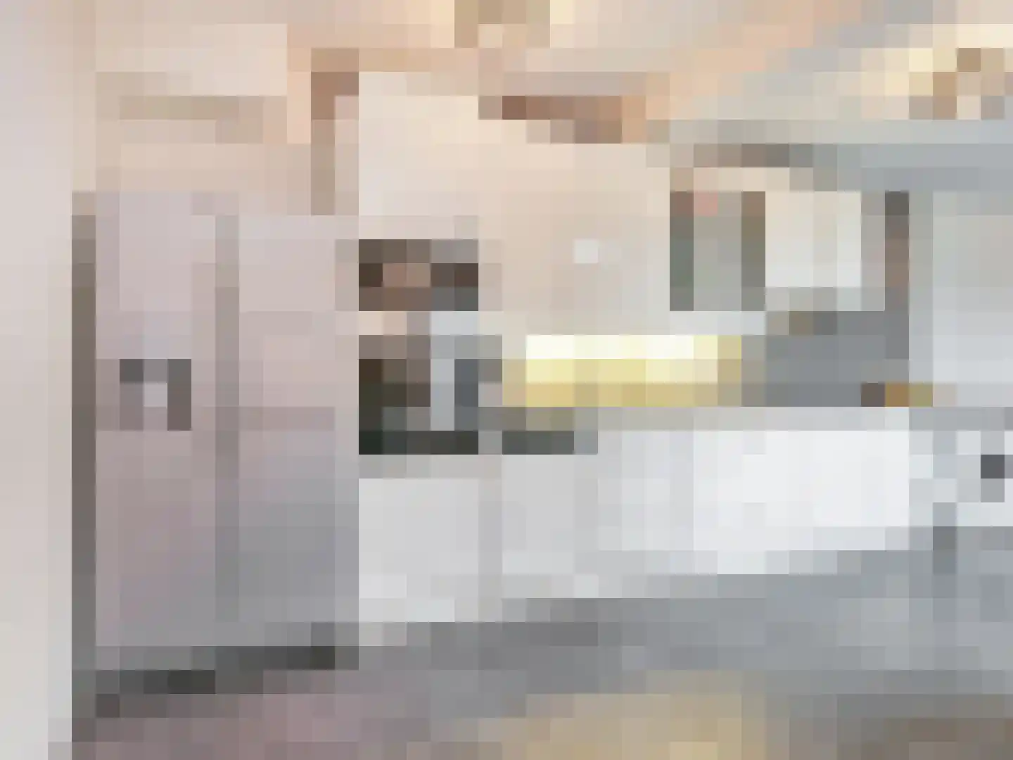 Ibisstraat 48 Badhoevedorp thumbnail 25