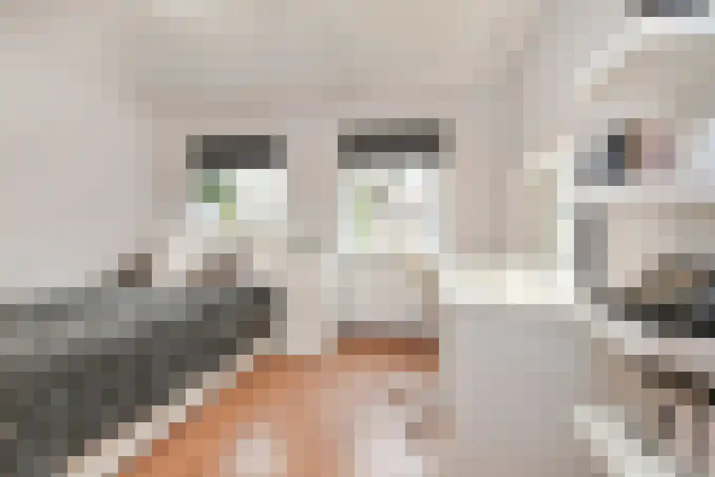 Ibisstraat 48 Badhoevedorp thumbnail 9