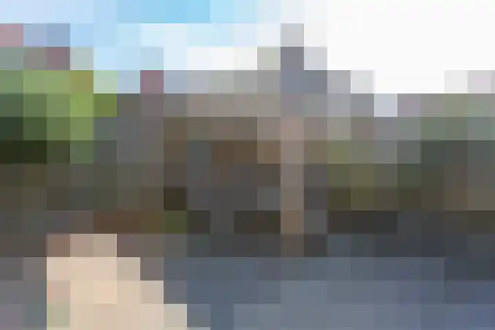 Ibisstraat 50 Badhoevedorp thumbnail 20