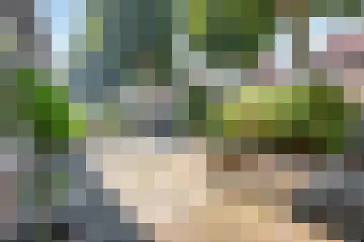 Ibisstraat 50 Badhoevedorp thumbnail 46