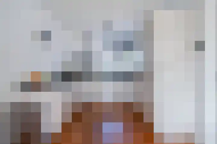 Ibizakade 21 Woerden thumbnail 11