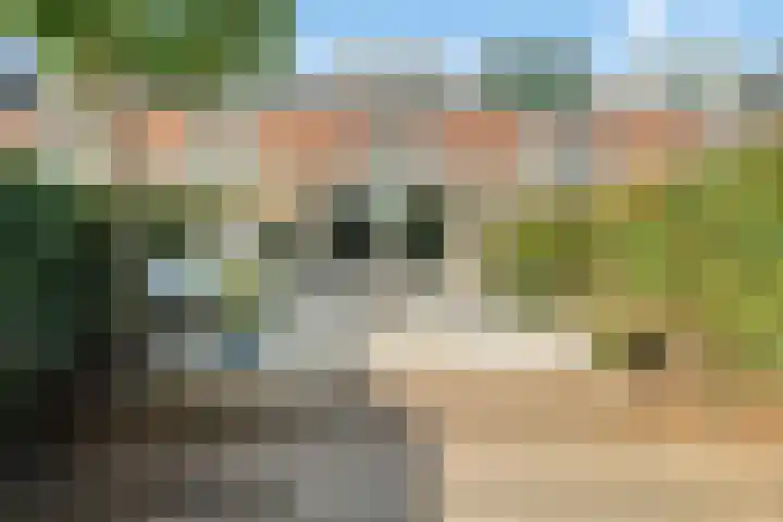 Ibizakade 25 Woerden thumbnail 30