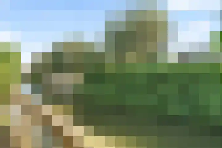 Ibizakade 25 Woerden thumbnail 31