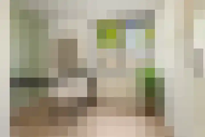 Ibrahim Moustafapad 24 Amsterdam thumbnail 18