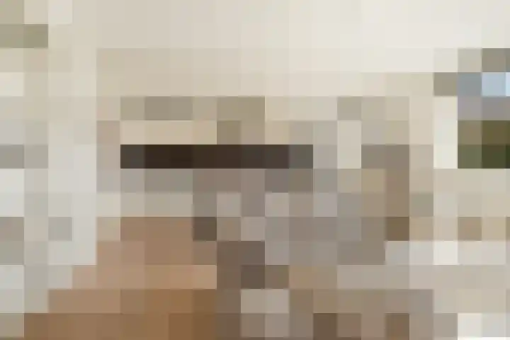 Ibrahim Moustafapad 24 Amsterdam thumbnail 5