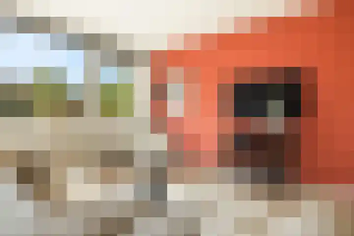 Ibrahim Moustafapad 24 Amsterdam thumbnail 9