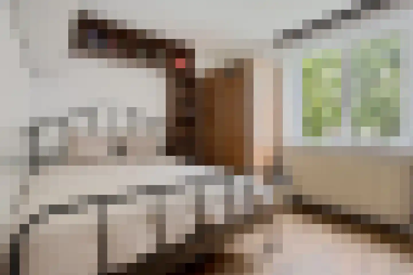 Ibrahim Moustafapad 4 Amsterdam thumbnail 13