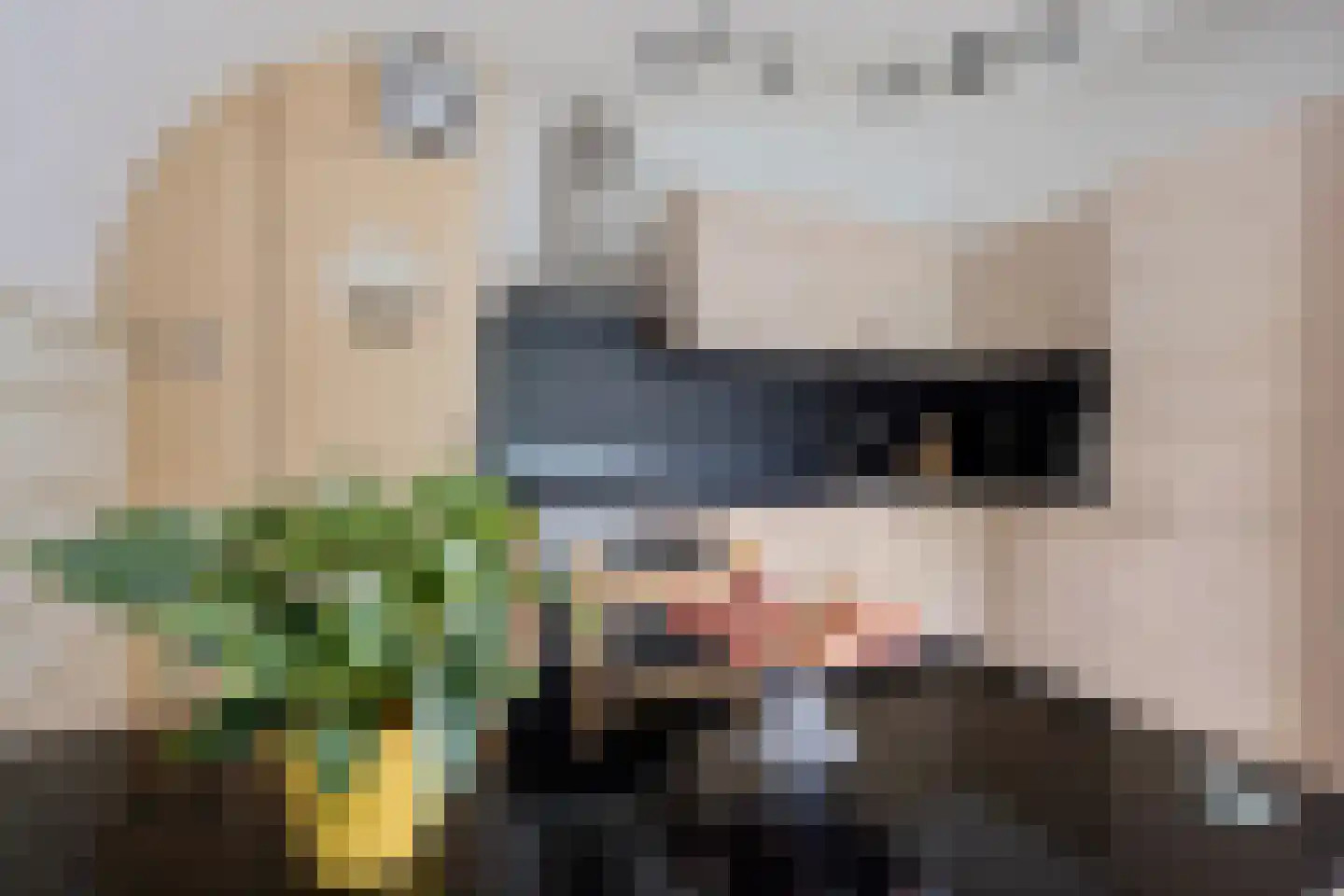 Ibrahim Moustafapad 4 Amsterdam thumbnail 4