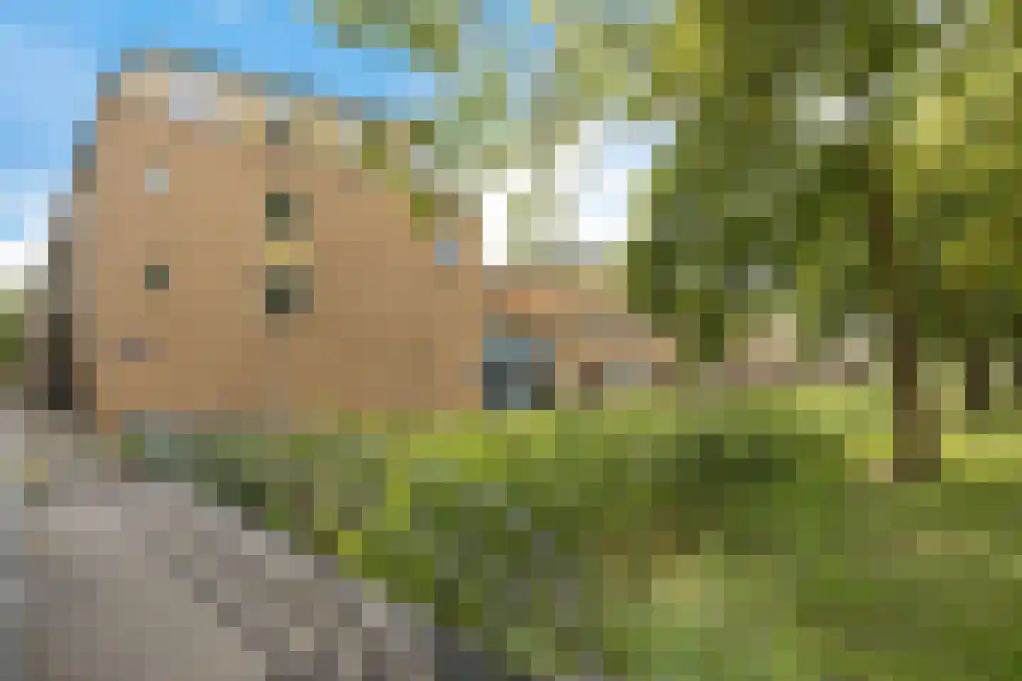 Ibrahim Moustafapad 4 Amsterdam thumbnail 42
