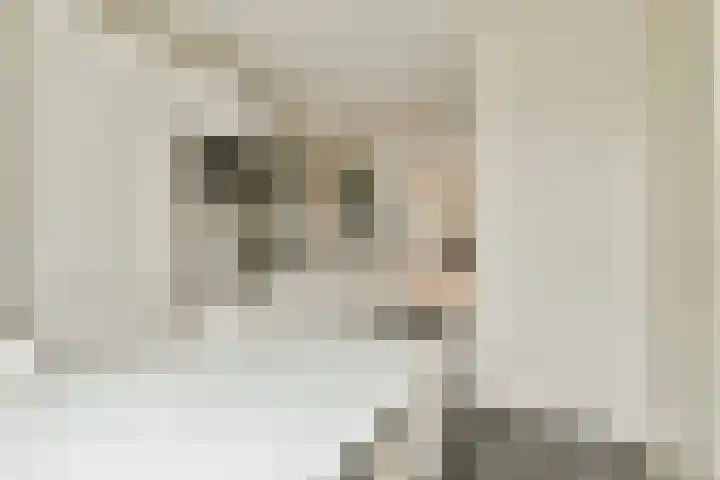 Ibrahim Moustafapad 6 Amsterdam thumbnail 11