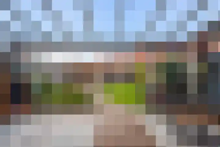 Icarusblauwtje 35 's-Gravenzande thumbnail 15