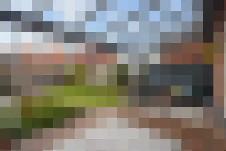 Icarusblauwtje 35 's-Gravenzande thumbnail 17