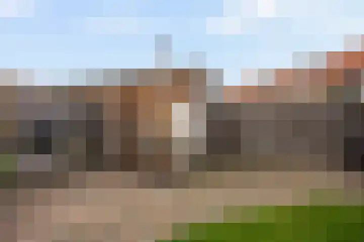 Icarusblauwtje 35 's-Gravenzande thumbnail 19