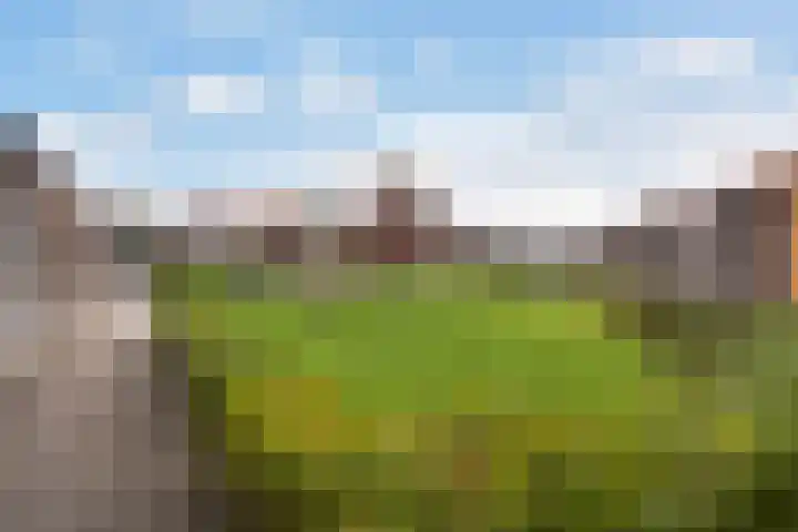 Icarusblauwtje 35 's-Gravenzande thumbnail 20