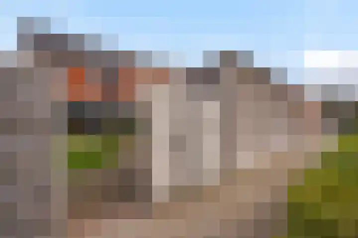 Icarusblauwtje 35 's-Gravenzande thumbnail 21