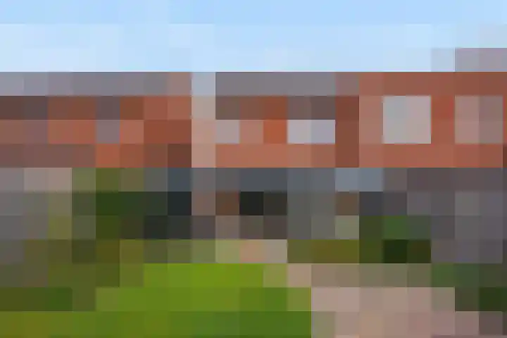 Icarusblauwtje 35 's-Gravenzande thumbnail 23