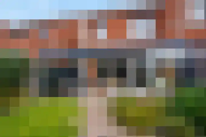 Icarusblauwtje 35 's-Gravenzande thumbnail 24