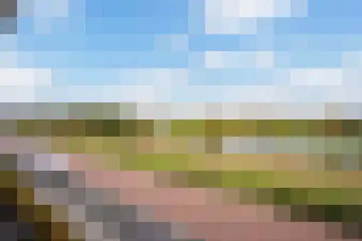 Icarusblauwtje 35 's-Gravenzande thumbnail 46