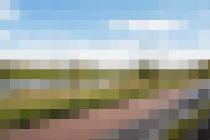 Icarusblauwtje 35 's-Gravenzande thumbnail 47