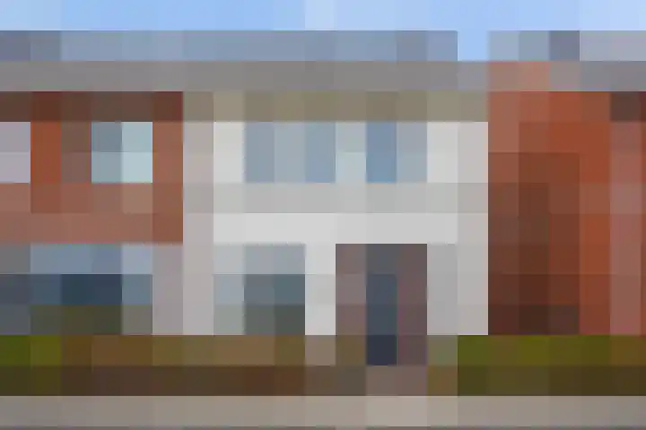 Icarusblauwtje 35 's-Gravenzande thumbnail 48