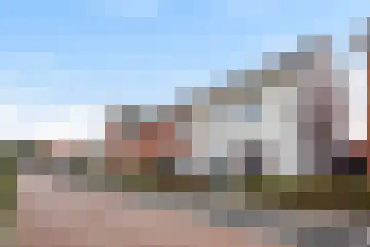 Icarusblauwtje 35 's-Gravenzande thumbnail 50