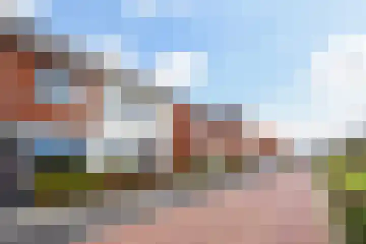 Icarusblauwtje 35 's-Gravenzande thumbnail 51
