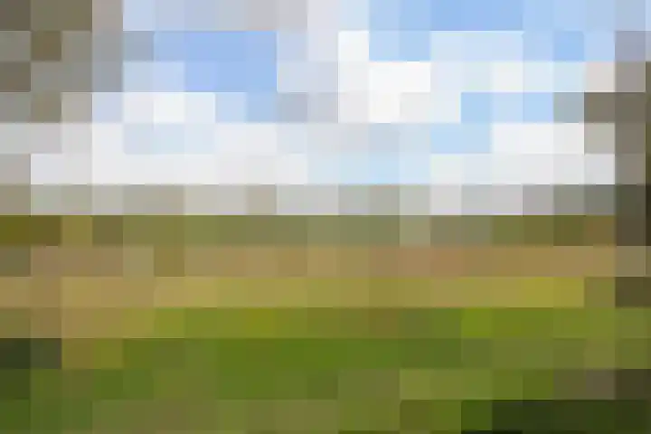 Icarusblauwtje 35 's-Gravenzande thumbnail 52