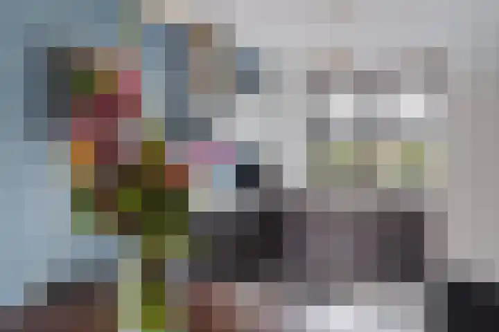 Icarusblauwtje 35 's-Gravenzande thumbnail 7