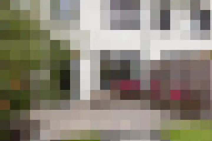 Icarusblauwtje 98 Apeldoorn thumbnail 10